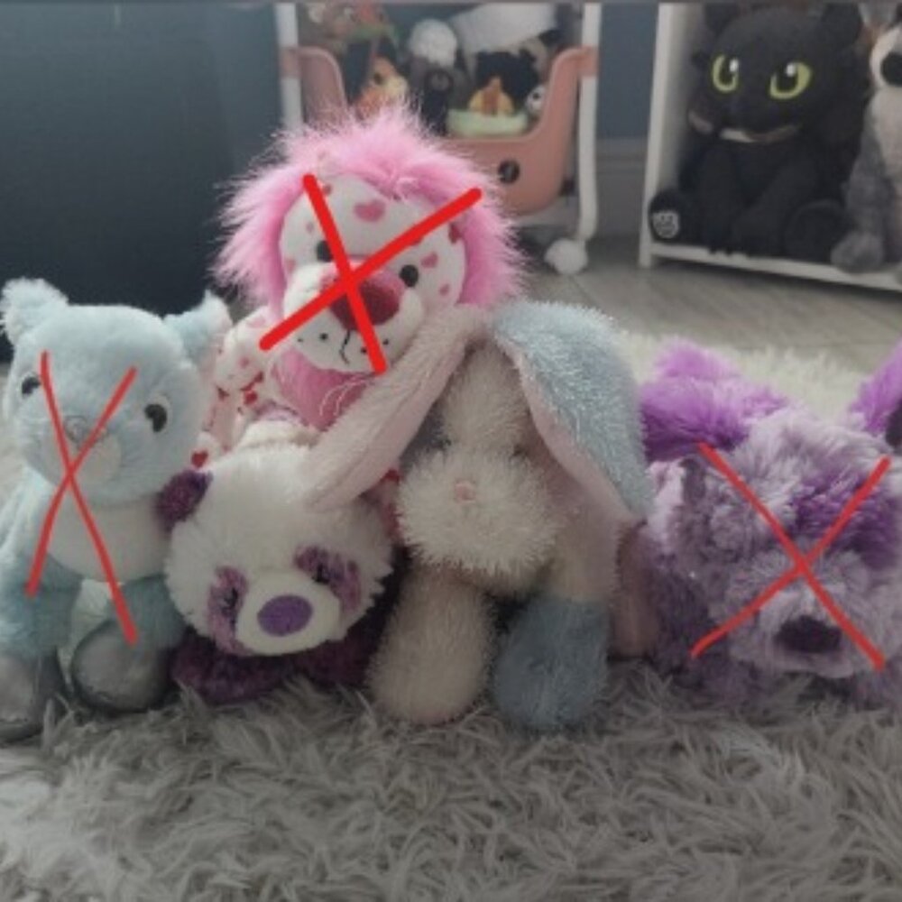 Webkinz Plushies with Signature Short Haired Yorkie "next pic" ((BUNDLE))